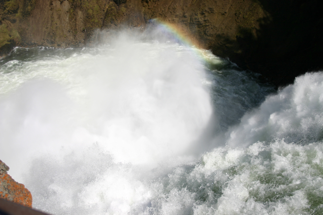 Lower Yellowstone Falls