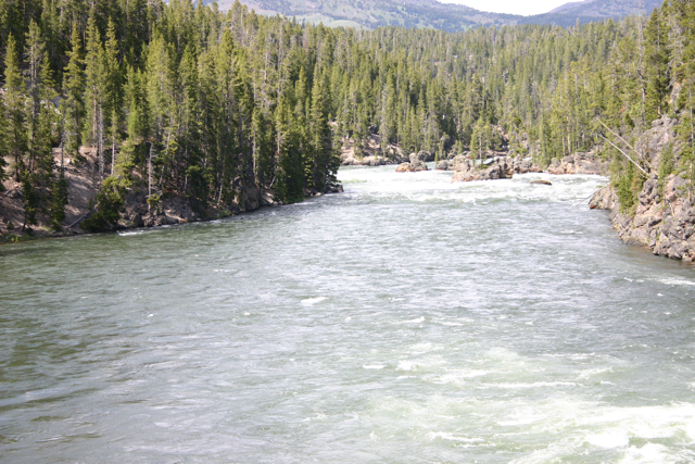 River leading to Lower Yellowstone Falls