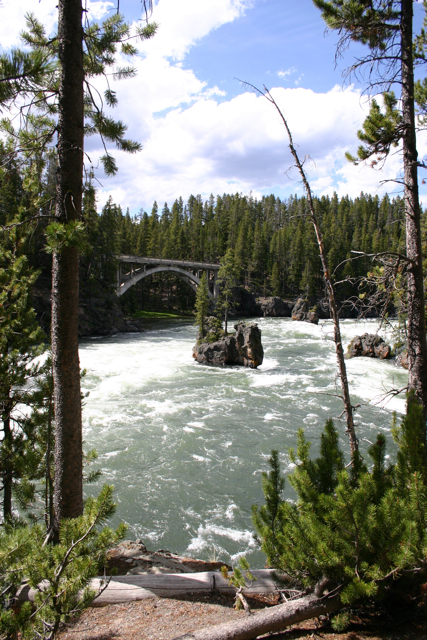 Bridge at Yellowstone