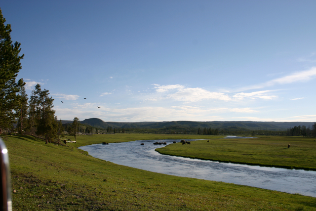 Gibson River at Yellowstone National Park