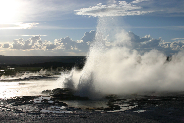 Geyser at Yellowstone National Park