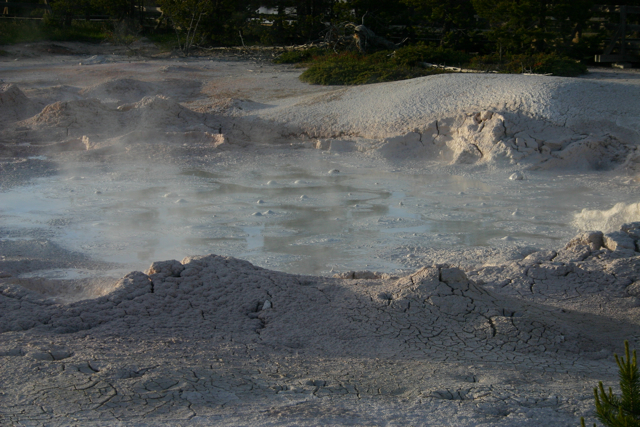 Mud Plots at Yellowstone National Park